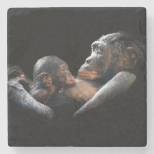 Porta-copo De Pedra Gorillas