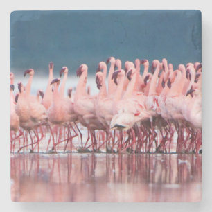 Porta-copo De Pedra Grande Grupo de Flamingos Menores