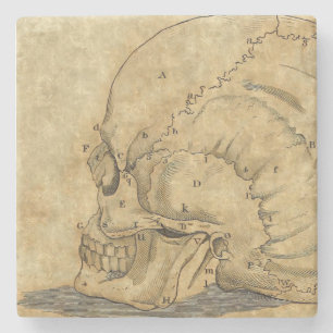 Porta-copo De Pedra Gravação do perfil do crânio do vintage rotulad