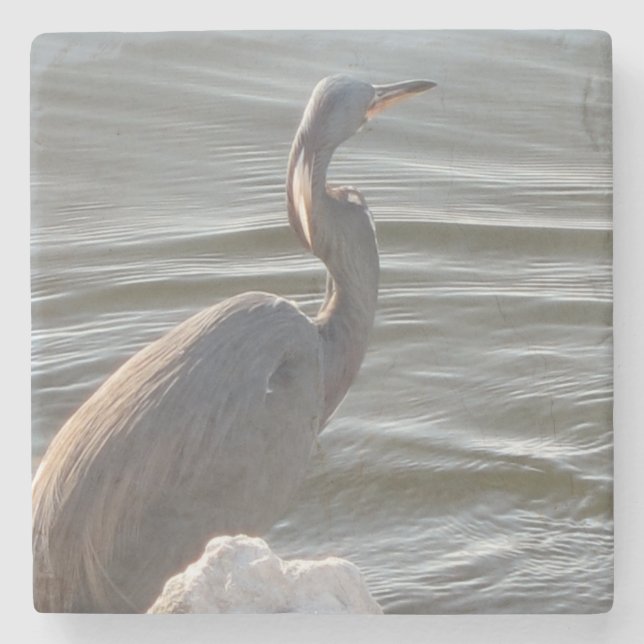 Porta-copo De Pedra Great Blue Heron by the Water (Frente)