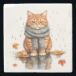 Porta-copo De Pedra Grumpy Orange Cat in Rain<br><div class="desc">Grumpy Orange Cat in Rain</div>