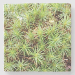 Porta-copo De Pedra Haircap Moss Stone Coaster