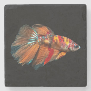 Porta-copo De Pedra Halfmoon Betta Fish