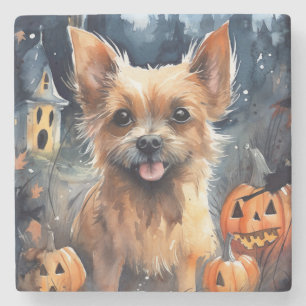 Porta-copo De Pedra Halloween Australiano Terrier With Pumpkins Scary