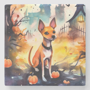 Porta-copo De Pedra Halloween Basenji Com Pumpkins Assustado