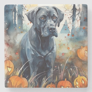 Porta-copo De Pedra Halloween Cane Corso Com Pumpkins Assustado