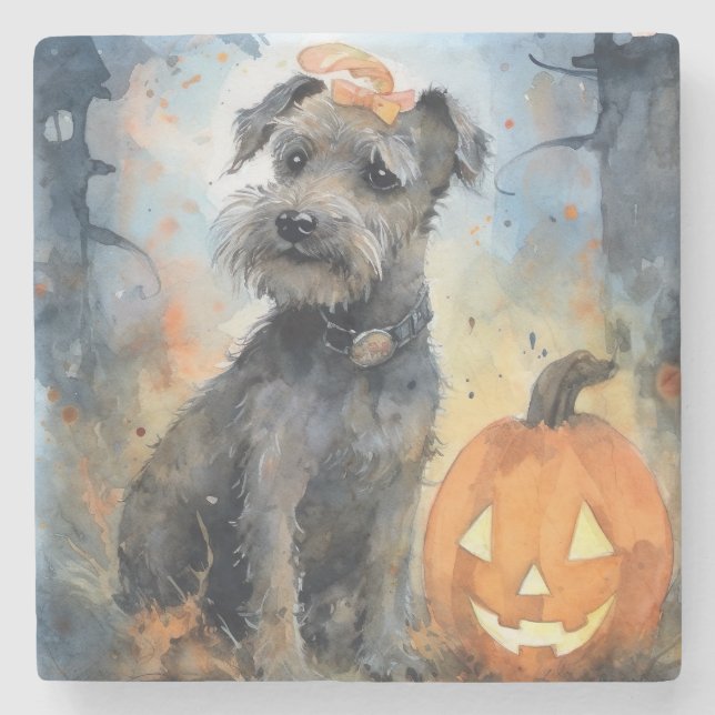 Porta-copo De Pedra Halloween Chesapeake Bay Terrier Com Bompkins (Frente)