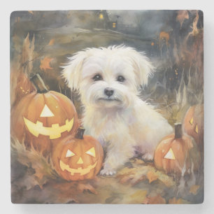 Porta-copo De Pedra Halloween Coton De Tulear Com Pumpkins Assustado