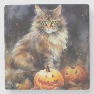 Porta-copo De Pedra Halloween Maine Coon Cat Com Pumpkins Assustado