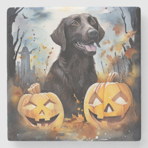 Porta-copo De Pedra Halloween Nova Escotia Com Pumpkins Assustado