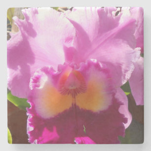 Porta-copo De Pedra Harlinde