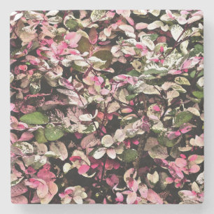 PORTA-COPO DE PEDRA "HAWAIIAN SNOWBUSH" /PINQUES, VERDES E BRANCOS