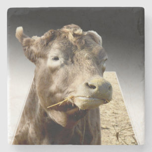 Porta-copo De Pedra Hay Day: Momento de colheita de uma vaca marrom em