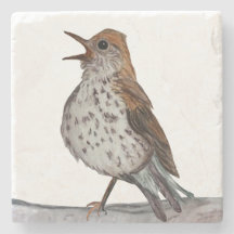 Hermit Thrush Stone Porta copos