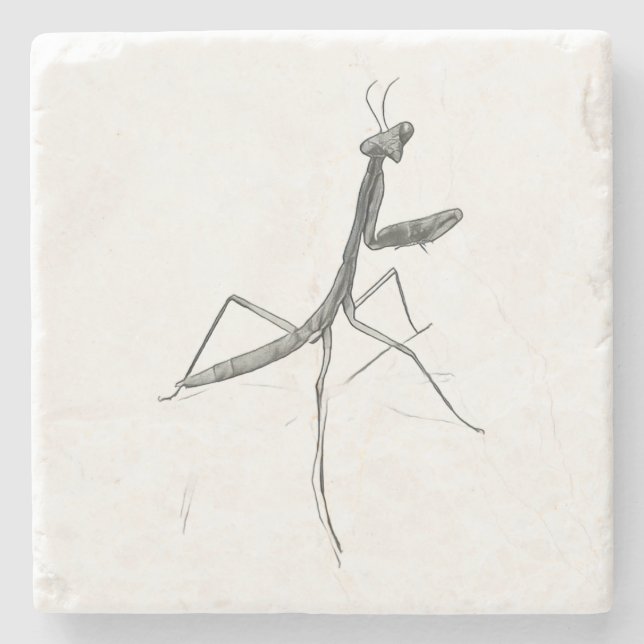 Porta-copo De Pedra Hi there! Praying Mantis (Frente)