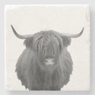 Porta-copo De Pedra Highland Cow Scotland Black White Farmhouse