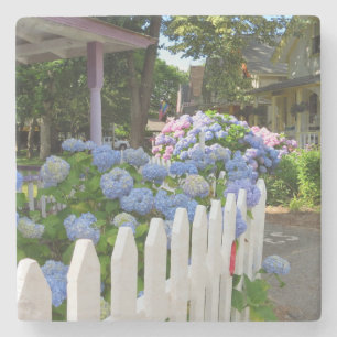 Porta-copo De Pedra Hydrangeas and Picket Fence - Martha's Vineyard