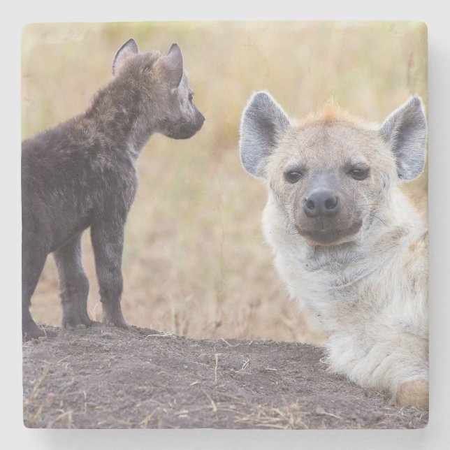 Porta-copo De Pedra Hyena com uma jovem (Frente)