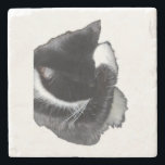 Porta-copo De Pedra I Can't Even Right Meow<br><div class="desc">Introducing Binx... This humorous image features a black-and-white tuxedo cat curled up with one paw dramatically covering his face, as if he has completely given up on the day. With his head tucked down and eyes hidden, the cat looks adorably fed up—like he just heard the most ridiculous thing imaginable...</div>