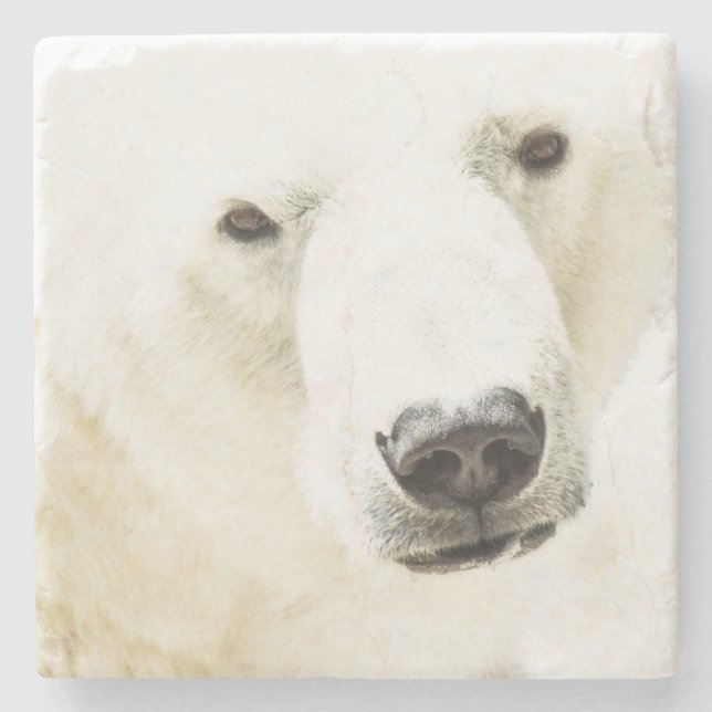 Porta-copo De Pedra Icy Stare of a Polar Bear (Frente)