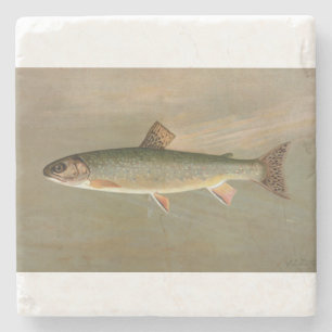 Porta-copo De Pedra Ilustração de Peixes de Trout Brook Americano