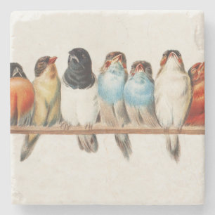 Porta-copo De Pedra Ilustração de "Perch of Birds Vintage Finch", 1880