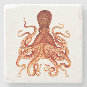 Porta-copo De Pedra Ilustração de polvo de laranja
