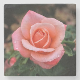 Porta-copo De Pedra Impressão de Arte Botânica Rosa Romântica