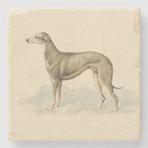Impressão de Whippet Retro Greyhound