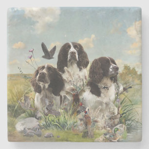 Porta-copo De Pedra Inglês Springer Spaniels, Arte