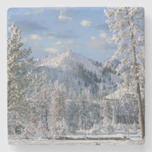 Porta-copo De Pedra Inverno no Parque Nacional de Yellowstone, Wyoming