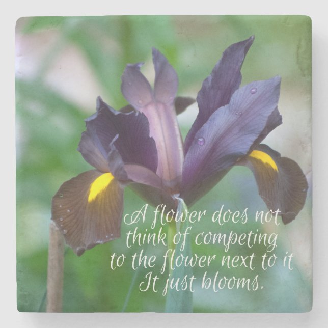 Porta-copo De Pedra Íris (Frente)