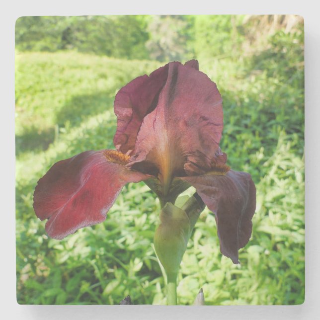 Porta-copo De Pedra Íris cardada (Frente)