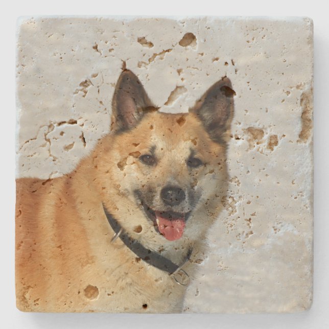 Porta-copo De Pedra IslandêsSheepdog20150904 (Frente)