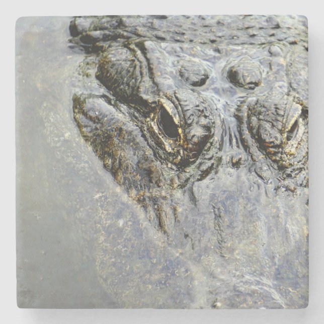 Porta-copo De Pedra Jacaré 2 (Frente)