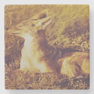 Porta-copo De Pedra Jackal cheirando o café da manhã do depósito de sa