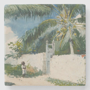 Porta-copo De Pedra Jardim de Nassau, Bahamas (Arte Caribe)