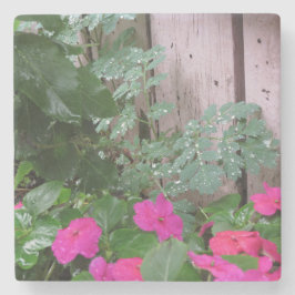 Porta-copo De Pedra Jardim depois da chuva - o Vineyard de Martha