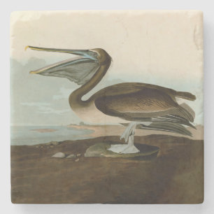 Porta-copo De Pedra John James Audubon Brown Pelican Trabalho de arte 