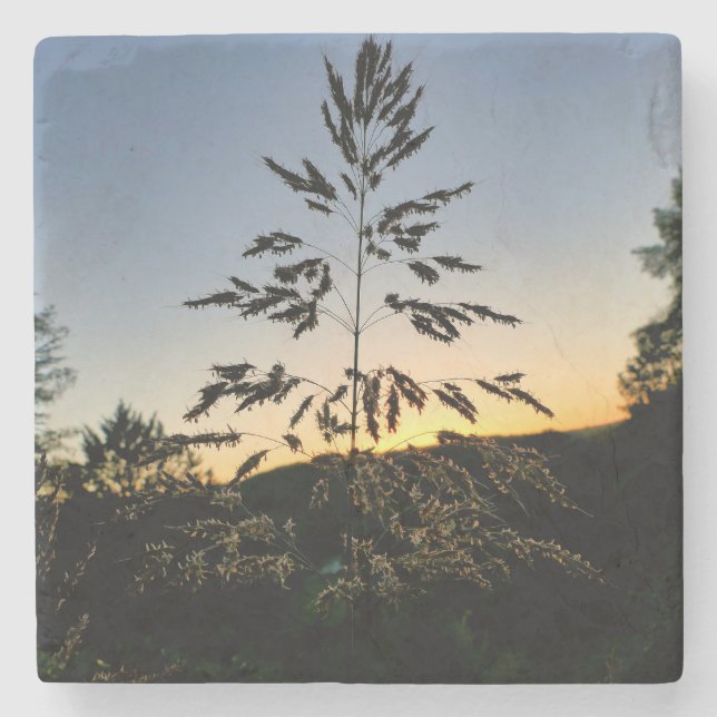 Porta-copo De Pedra Johnson Grass (Frente)