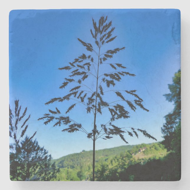 Porta-copo De Pedra Johnson Grass (Frente)