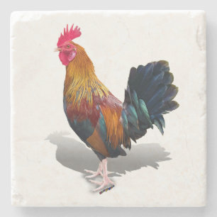 Porta-copo De Pedra Key West - Rooster Gypsy