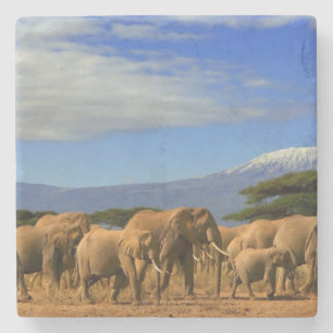 Porta-copo De Pedra Kilimanjaro e elefantes