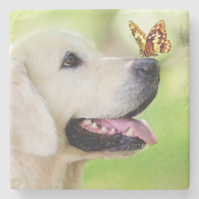Porta-copo De Pedra Labrador And Butterfly Throw Pillow (Frente)