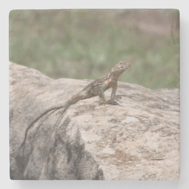Porta-copo De Pedra Lagarto (Frente)