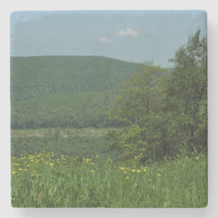 Porta-copo De Pedra Laurel Highlands Pennsylvania Summer Photoics