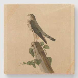 Porta-copo De Pedra Le Petit Caporal (Merlin) Audubon Birds da América