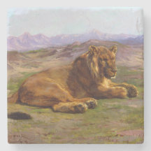 Leão selvagem no Masai Mara