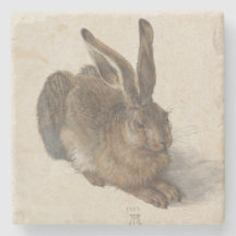 Lebre nova por Albrecht Durer