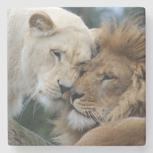 Porta-copo De Pedra Leões (Frente)